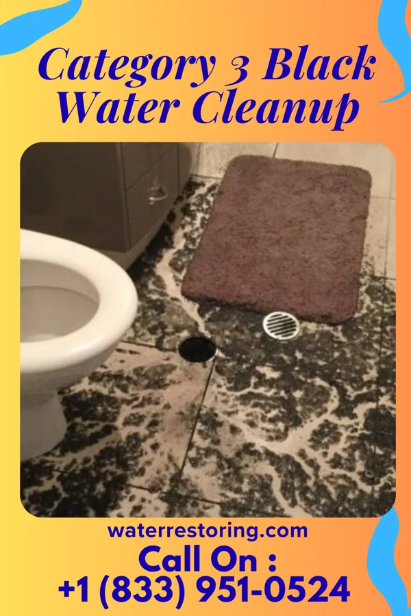 Category 3 Black Water Cleanup in Marlette, MI