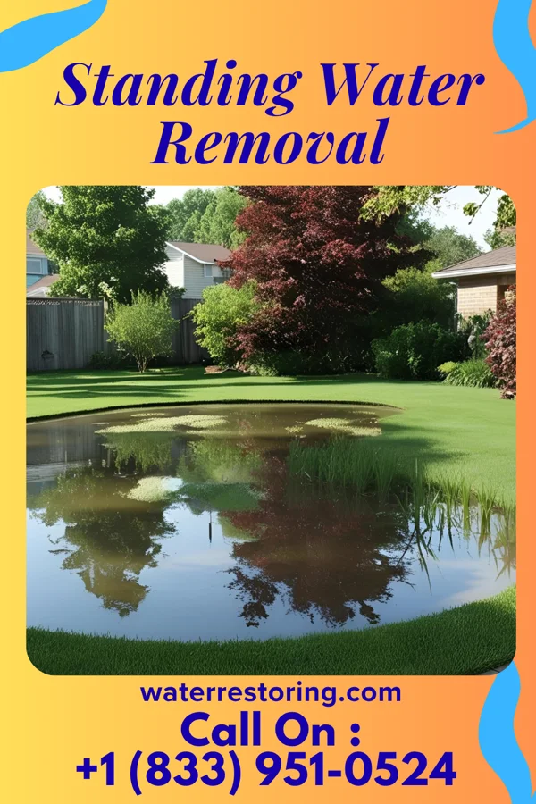 Standing Water Removal in Marlette, MI